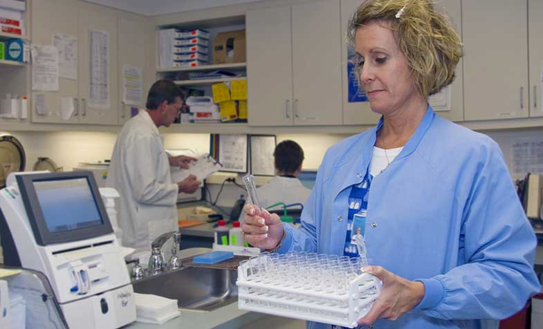 Medical research of garlic